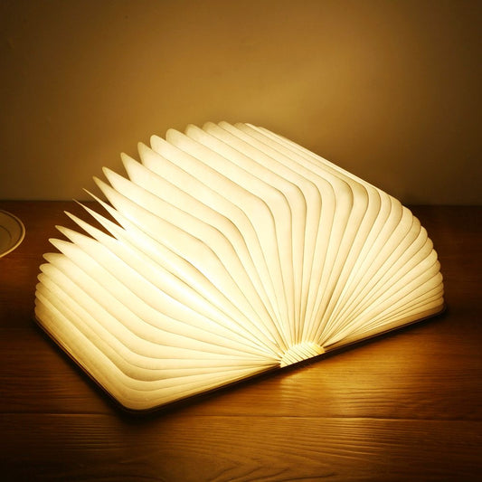 USB Recharge Wooden Book Light
