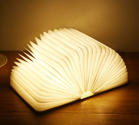 USB Recharge Wooden Book Light