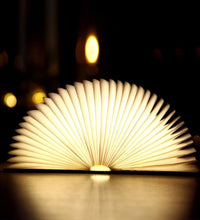 USB Recharge Wooden Book Light