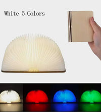 USB Recharge Wooden Book Light